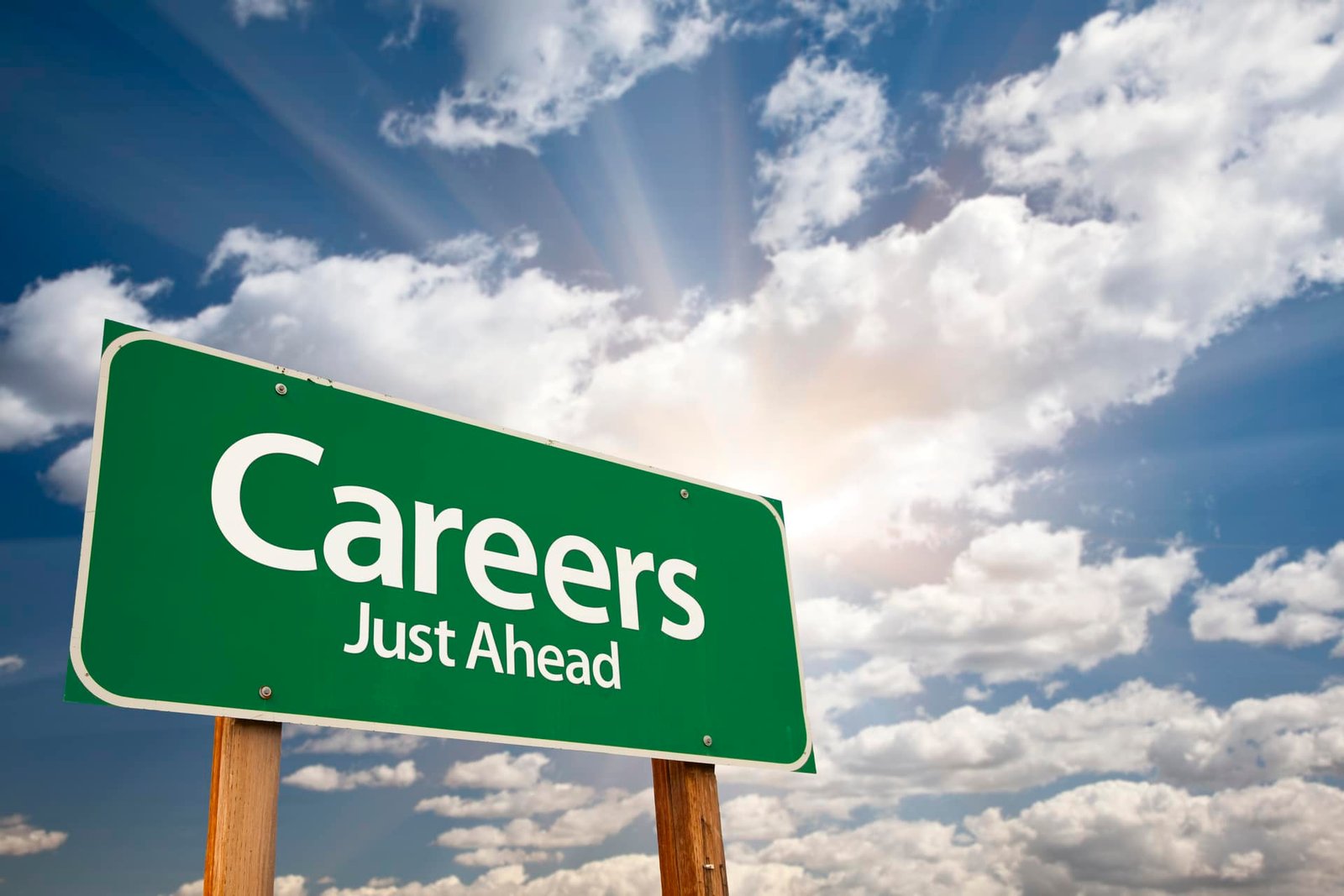 Exploring IT Specializations: Choosing the Right Path for Recent College Graduates